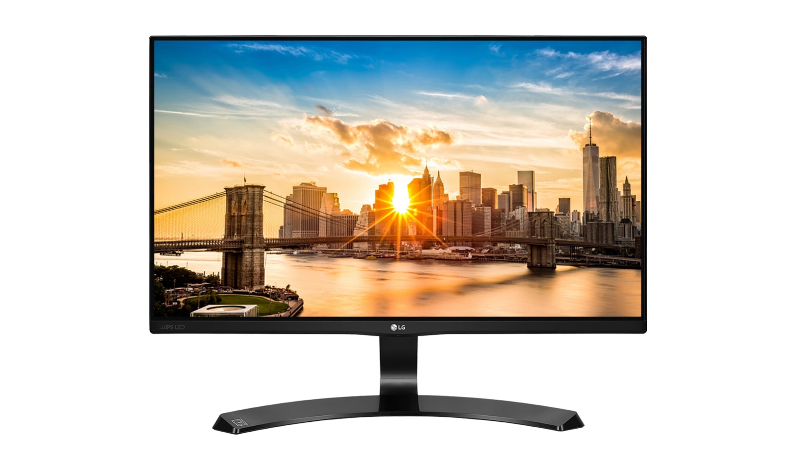 LG 22" Monitor